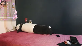 taissa_farmiga recorded nude video 83711