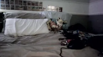 babyrileyyyy recorded nude video 842643