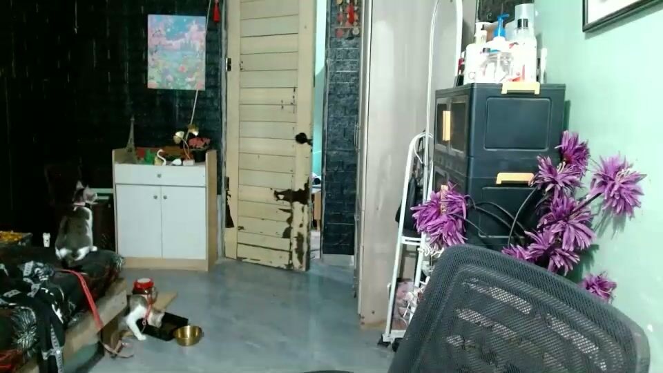 Tsempress chat cam porn - 21-Mar-26