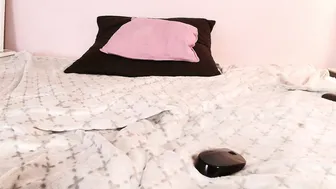 Abigaillady sex chat show