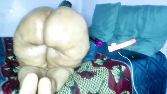 wilmaassylum recorded nude video 848340