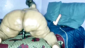wilmaassylum recorded nude video 848340