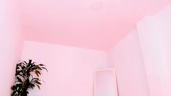 sophierooy chat porn 03-31-2026