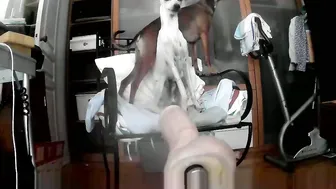 maschpro cam sex 04-01-2026