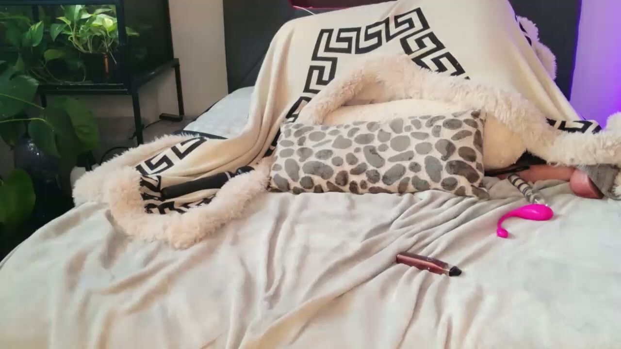 hazeleo pvt video chat porn