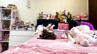 bernardinahedquist porn cam video 06 April 2026