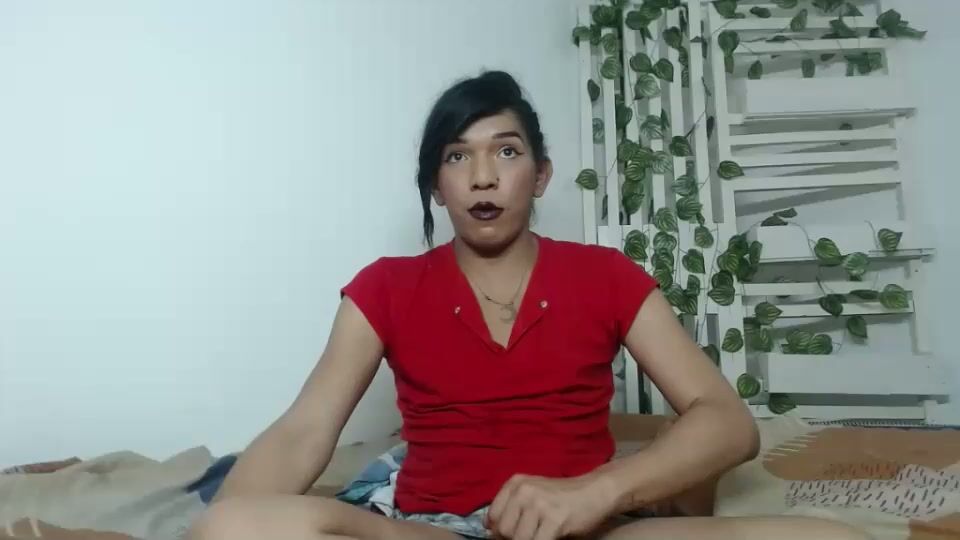 candy_hot_trans free cam show 11-Apr-2026