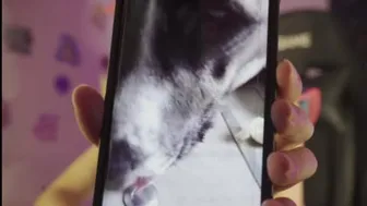 pitykitty 2024-09-27 19:10:02