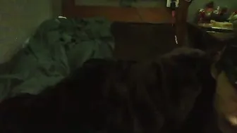 lildman420 nude cam video 13-Apr-26