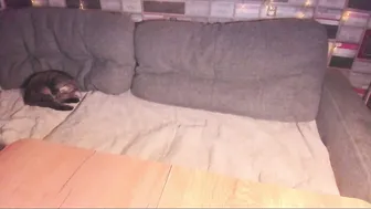 adamsvictory recorded nude video 902661