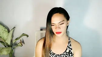 Holly_sugar20 14-Apr-2026 wifematerial