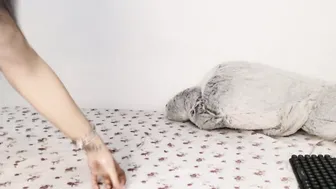 julyanarains 16-Apr-2026
