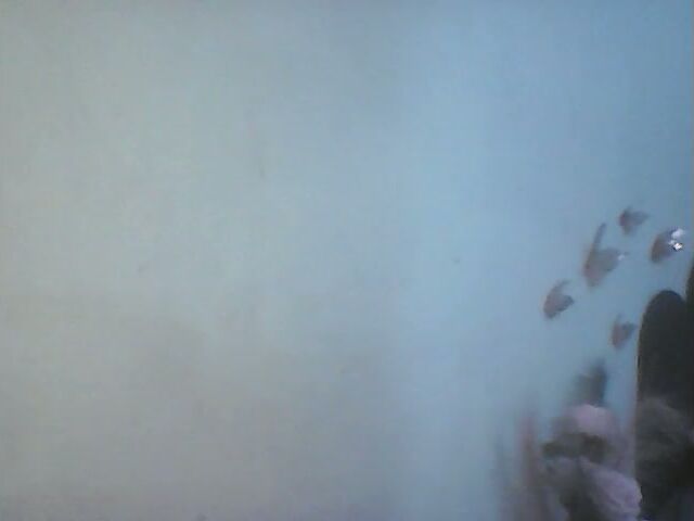 Ange011 (04-20-2026) interactivetoy