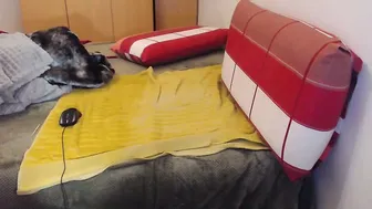 xxxbustybabe27x recorded nude video 918402