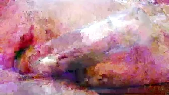 Camcplinaz 04/25/2026