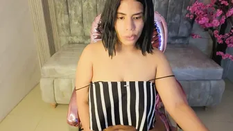 Ambar_fox_s (04/25/2026)