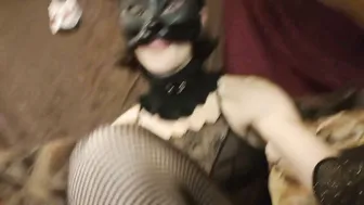 novakitty888 recorded nude video 951727