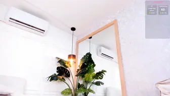 amelia_rossetti 05-May-2026
