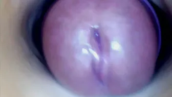 paulainoscente sex cam chat 11-Jul-25