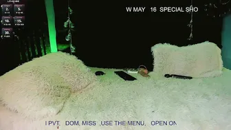 Alicebby_bigcock19 webcam chat (05-12-2026)