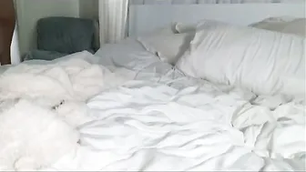 clairerae3 (05/12/2026)