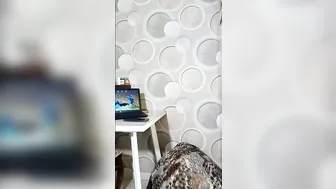 kissmycurvesxo nude cam video 13-May-2026