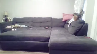 mr8plus video cam porn 12-Jul-25
