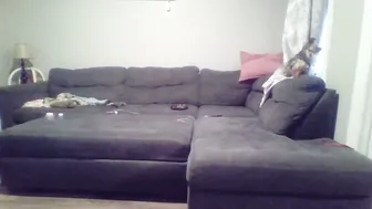 mr8plus video cam porn 12-Jul-25