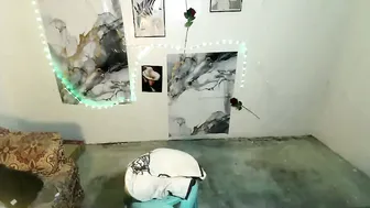 ericaxox1 stream (05/15/2026)