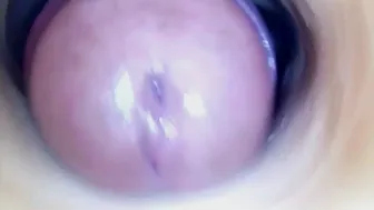 Paulainoscente cam sex porn 05-18-2026