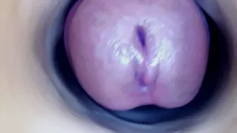 paulainoscente chat porn video 05/18/2026