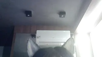 skinnykittencam naked - 21 May 2026