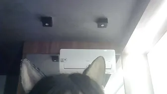 skinnykittencam naked - 21 May 2026