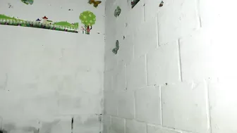 Briahana_doll interactivetoy (07/13/2025)